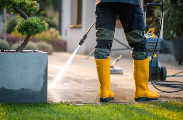 Best Affordable Pressure Washing  in Wakefield, NE
